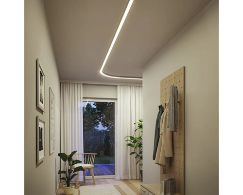 Flur mit Deckenleuchte, Garderobe und Zimmerpflanzen