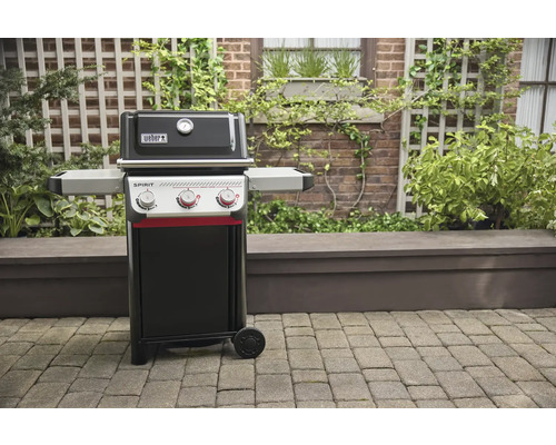 Weber Spirit Gasgrill im Garten