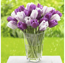 Tulpenstrauß in Glasvase
