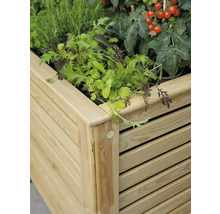 Hochbeet promadino Katrin inkl. Folie 118 x 57 x 80 cm natur