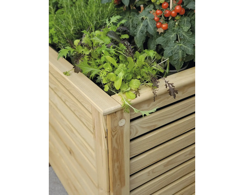 Hochbeet aus Holz mit Salat und Tomatenpflanzen