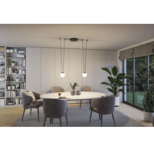 Esszimmer mit Esstisch, Stühlen, Bücherregal, Zimmerpflanzen und Pendelleuchte