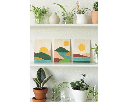Regal mit Pflanzen und drei Landschaftsbildern