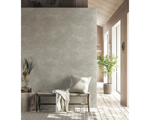 Heller Raum mit Betonwand, Sitzbank, Kissen und Zimmerpflanze.