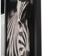 Flexible Fotowand Set schwarz 95 cm 5 Fotos 3x 13x18 cm 2x 20x30 cm
