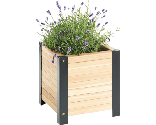 Blumenkasten aus Holz mit Lavendel bepflanzt