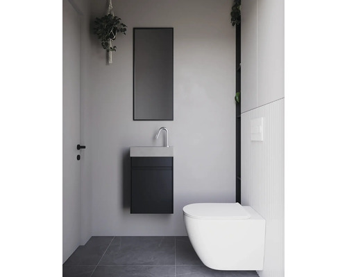 Modernes Badezimmer mit Hänge-WC, Waschtischunterschrank, Spiegel und hängender Pflanze