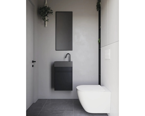 Modernes Badezimmer mit Toilette, Waschbecken, Spiegel und Hängepflanze