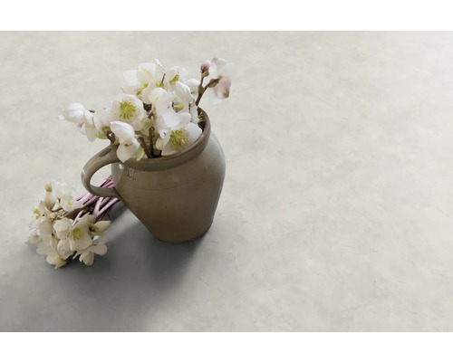 Helleborus Pflanzen in einem Krug