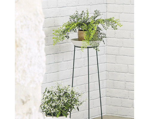 Dekorative Zimmerpflanzen auf Pflanzenständern vor einer Ziegelwand