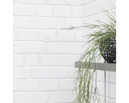 Wand mit weißen Ziegeln und Zimmerpflanze auf einem Regal