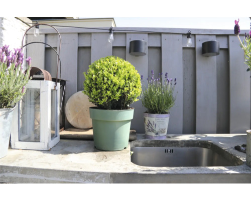 Außenbereich mit Pflanzgefäßen, Außenleuchten und Spülbecken