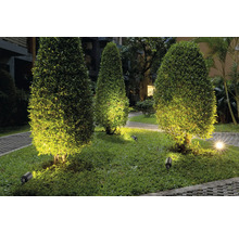 Beleuchteter Garten mit Strauch und Gartenstrahler