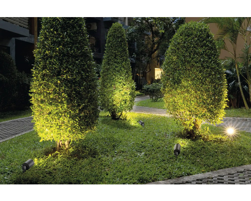Beleuchteter Garten mit Strauch und Gartenstrahler