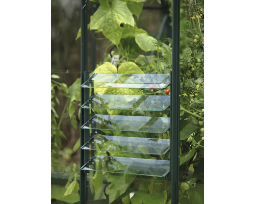 Nahaufnahme eines Gewächshausfensters mit Lamellen zur Belüftung.