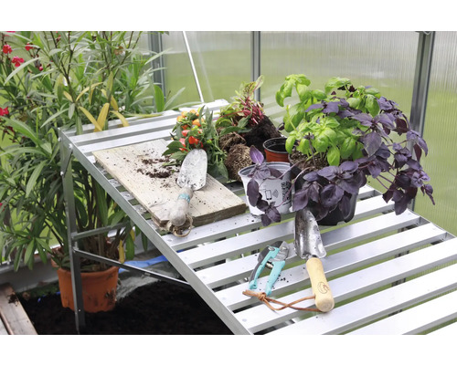 Gartenszene mit Pflanztisch, Pflanzen und Gartengeräten im Gewächshaus.