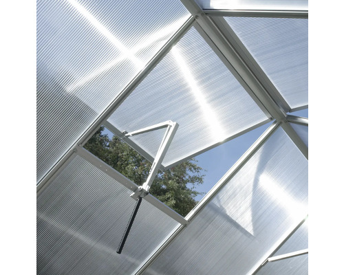 Innenansicht eines Gewächshauses mit Dachfenster