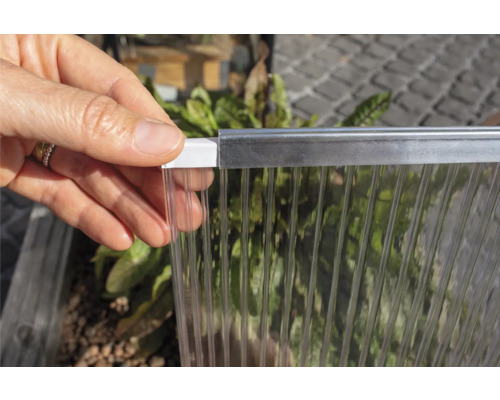 Hand hält transparente Stegplatte mit Profil