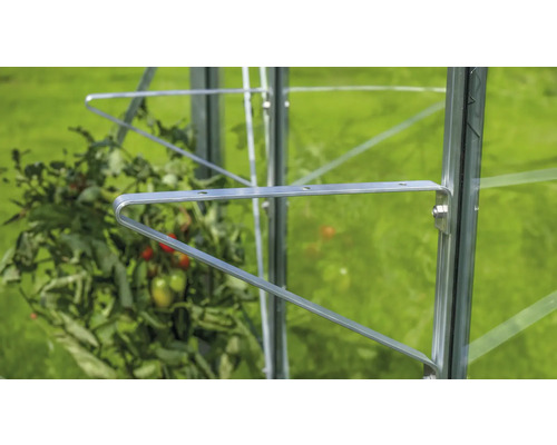 Detailaufnahme einer Tomatenstütze im Gewächshaus