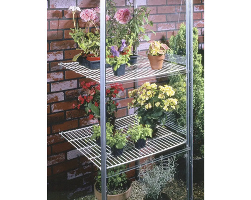 Gewächshausregal mit verschiedenen Pflanzen auf mehreren Ebenen.