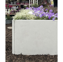 Beton Pflanzkasten mit Blumen