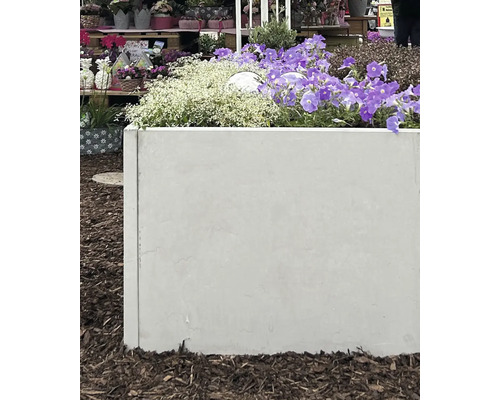 Beton Pflanzkasten mit Blumen