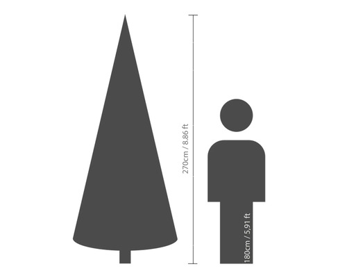 Größenvergleich: Tannenbaum 270 Zentimeter und Mensch 180 Zentimeter