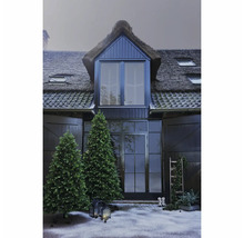 Hausfassade mit Reetdach, zwei beleuchteten Weihnachtsbäumen und dekorativer Außenbeleuchtung für eine weihnachtliche Atmosphäre.