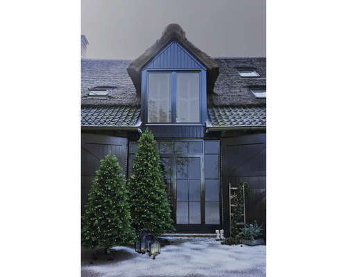 Hausfassade mit Reetdach, zwei beleuchteten Weihnachtsbäumen und dekorativer Außenbeleuchtung für eine weihnachtliche Atmosphäre.