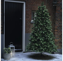 Künstlicher Weihnachtsbaum mit Lichtern vor einem Haus