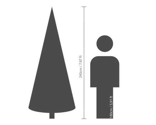 Größenvergleich: Tannenbaum (240 cm) und Mensch (180 cm)
