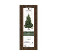 Everlands Alba Tanne mit einer Höhe von 2,1 Meter im Paket