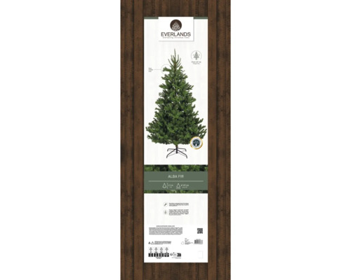 Everlands Alba Tanne mit einer Höhe von 2,1 Meter im Paket