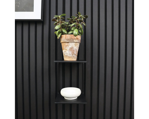 Wandregal mit Pflanze im Terrakottatopf und Dekoschale