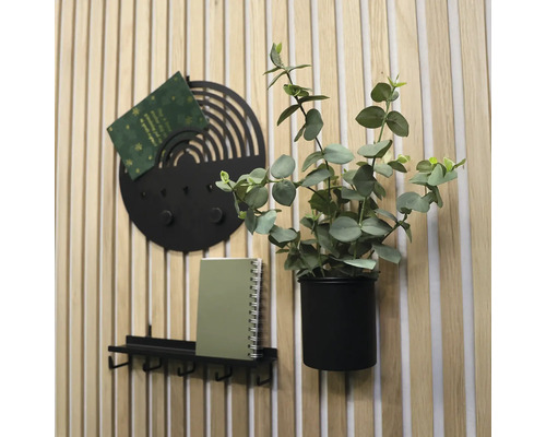 Wanddekoration mit Hakenleiste, Memohalter und Topfpflanze