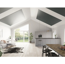 Wohnraum mit Akustikpaneelen an der Decke, kombiniert mit Küche und Wohnzimmer