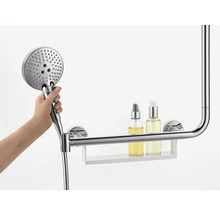 Handbrause mit Haltegriff und Ablage im Badezimmer