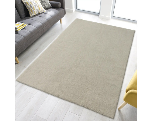 Beige Hochflor Teppich im Wohnzimmer mit Sofa und Sessel