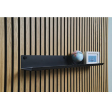 Wandregal mit Globus und Bilderrahmen an Holzpaneelwand