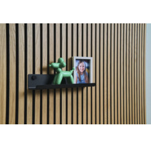 Wandpaneel mit Regal, Ballonhundfigur und Bilderrahmen