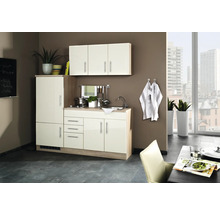 Kompakte Küchenzeile mit Spüle, Kochfeld, Hängeschrank und Kühlschrank in modernem Design.