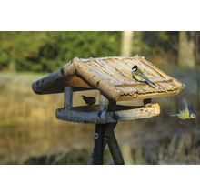 Vogelhaus aus Holz mit Vögeln