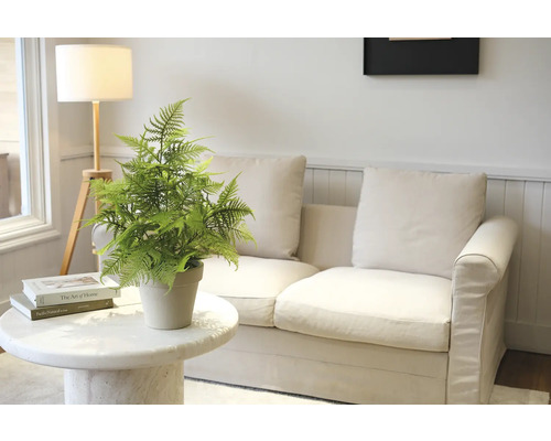 Dekorative Zimmerpflanze auf einem Marmortisch vor einem Sofa und einer Stehlampe