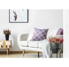 Heller Wohnraum mit Sofa, Kissen, Beistelltisch und Zimmerpflanzen