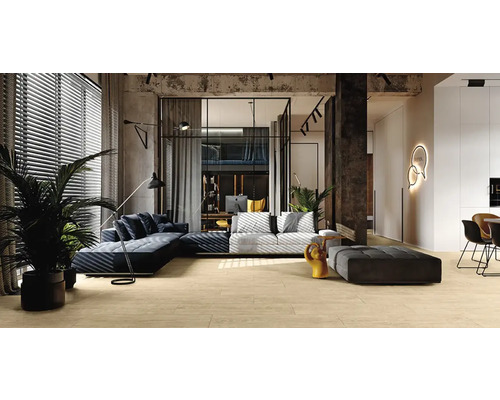 Helles Wohnzimmer mit Wohnbereich, Arbeitsbereich und Schlafloft