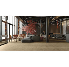 Innenaufnahme eines modernen Aufenthaltsraums mit Holzboden, Sofas und Sesseln