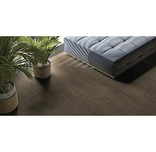 Ansicht eines Zimmers mit Holzboden, Couch und Zimmerpflanzen.