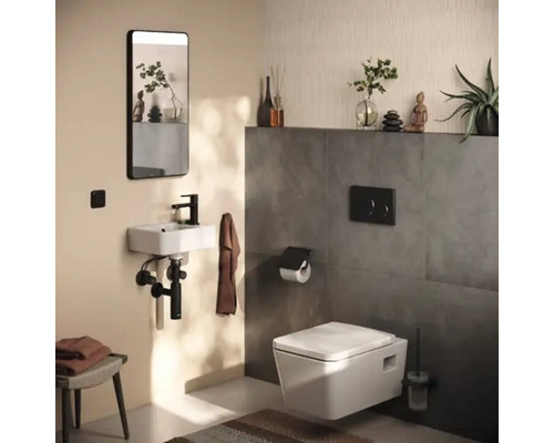 Modernes Badezimmer mit Toilette, Waschbecken, Spiegel und Dekorationen.