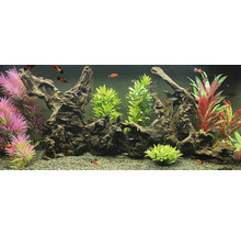 Aquarium mit Dekorationselementen, Pflanzen und Fischen