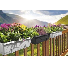 Drei Balkonkästen mit verschiedenen Blumen auf einem Holzbalkon